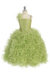 Turquoise/Silver Single Shoulder Princess Pageant Girl Ball Gown