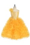 Turquoise/Silver Single Shoulder Princess Pageant Girl Ball Gown