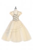 Champagne Sweetheart Rhinestone Beaded Ball Gown Dress