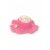 Fuchsia Fuchsia