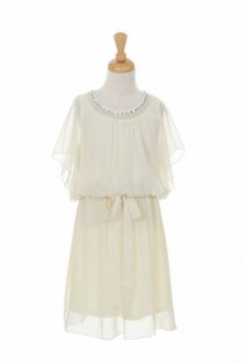 Ivory Elegant Pearl Beaded Yuro Chiffon Dress 