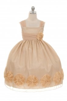 Champagne Large 3D Mesh Flower Girl Dress