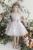 Siver Organza Layered Dress w/ Crystal Beading
