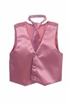 Dusty Rose Fancy Solid Vest & Windsor Tie Set