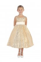 Gold Sleeveless Tulle Sequin Dress
