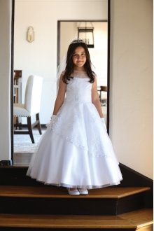 Beautiful Detailed Mesh Fabric with Cap Sleeves Communion Dress