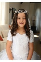 Beautiful Rhinestone Tiara Attached to Pencil Edge Veil