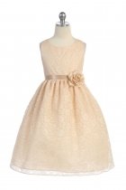 Champagne Lovely Floral Lace Flower Girl Dress