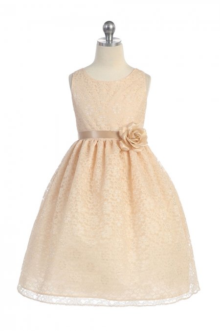 Champagne Lovely Floral Lace Flower Girl Dress Champagne Lovely Floral Lace Flower Girl Dress