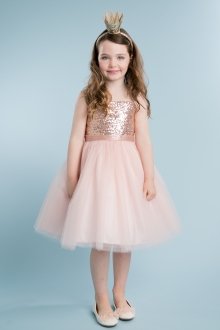 Blush Sequin Top Dress with Overlay Tulle Skirt Flower girl dress