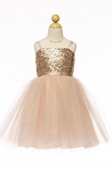 Champagne Sequin Top Dress with Overlay Tulle Skirt Flower girl dress Champagne Sequin Top Dress with Overlay Tulle Skirt Flower girl dress