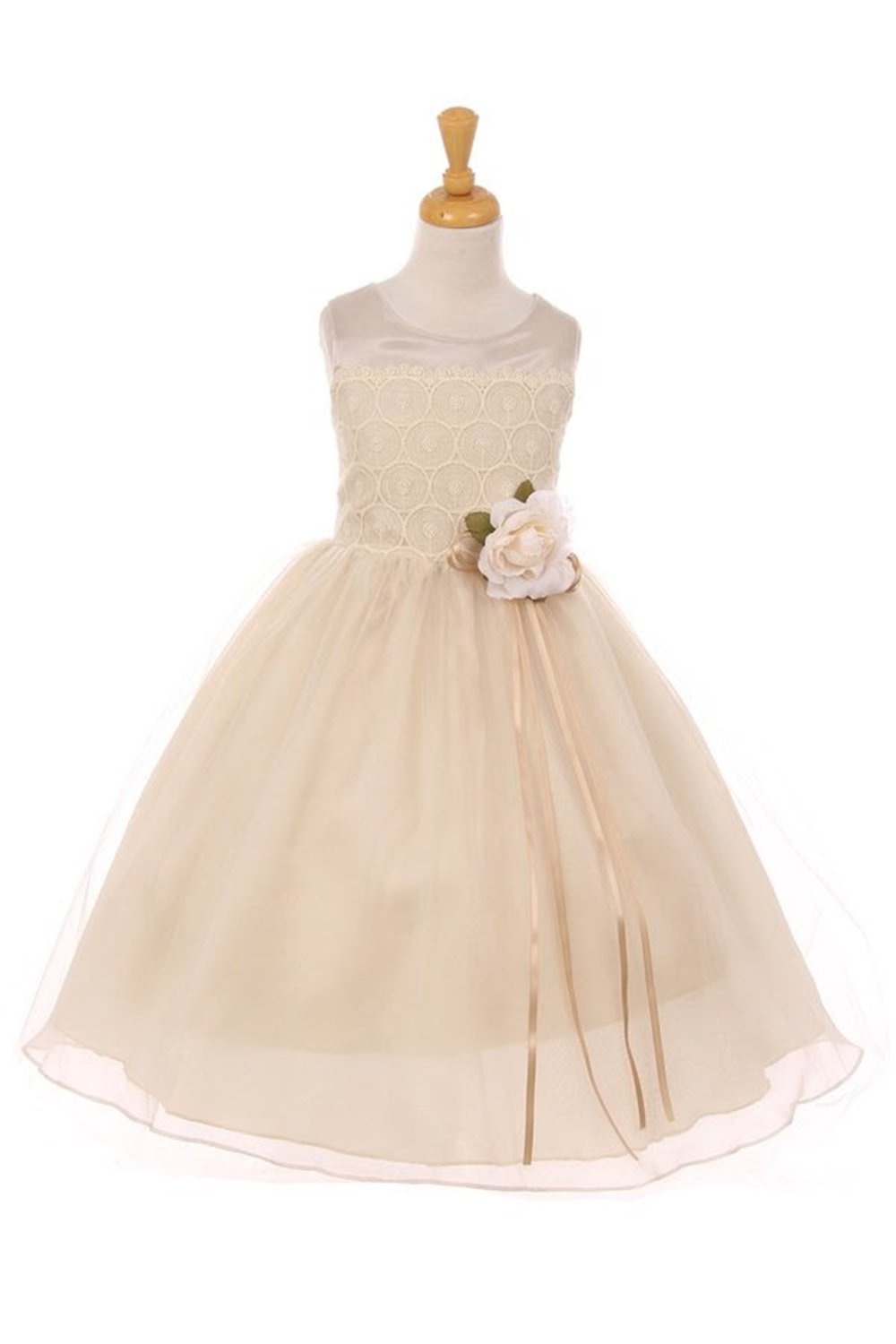 Champagne Beautiful Sleeveless Organza And Tulle Dress