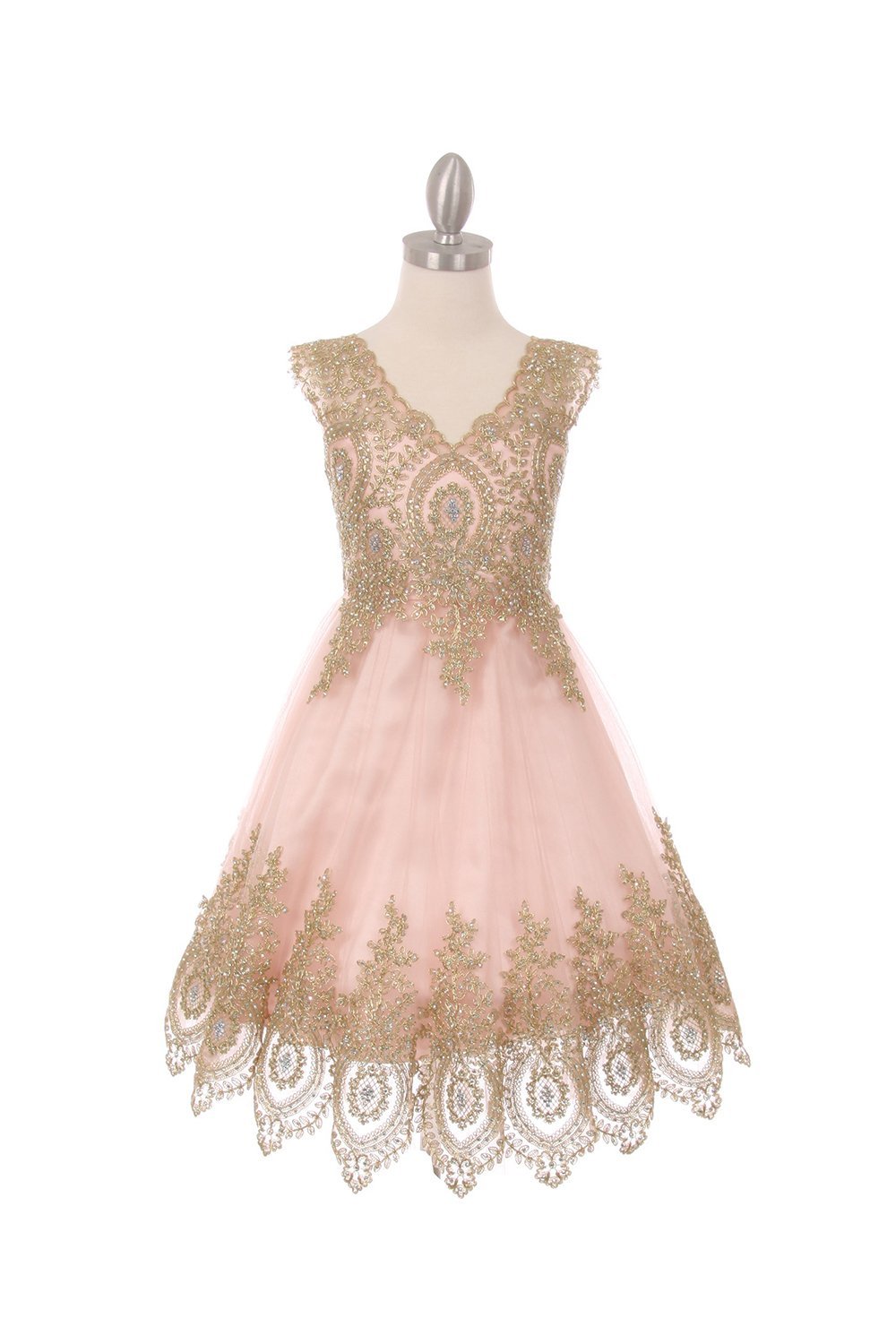 Blush Elegant Gold Coiled Lace Mesh Dress with Invisible Zipper