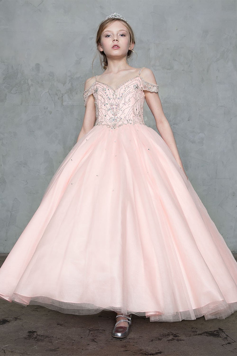 Blush Pink Beautiful Jeweled on Bodice Ball Gown Dress