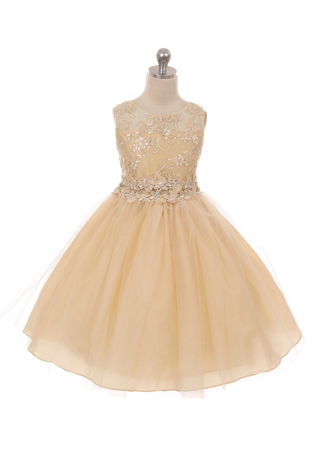 Champagne Embroidered Floral Mesh Lace Dress Champagne Embroidered Floral Mesh Lace Dress