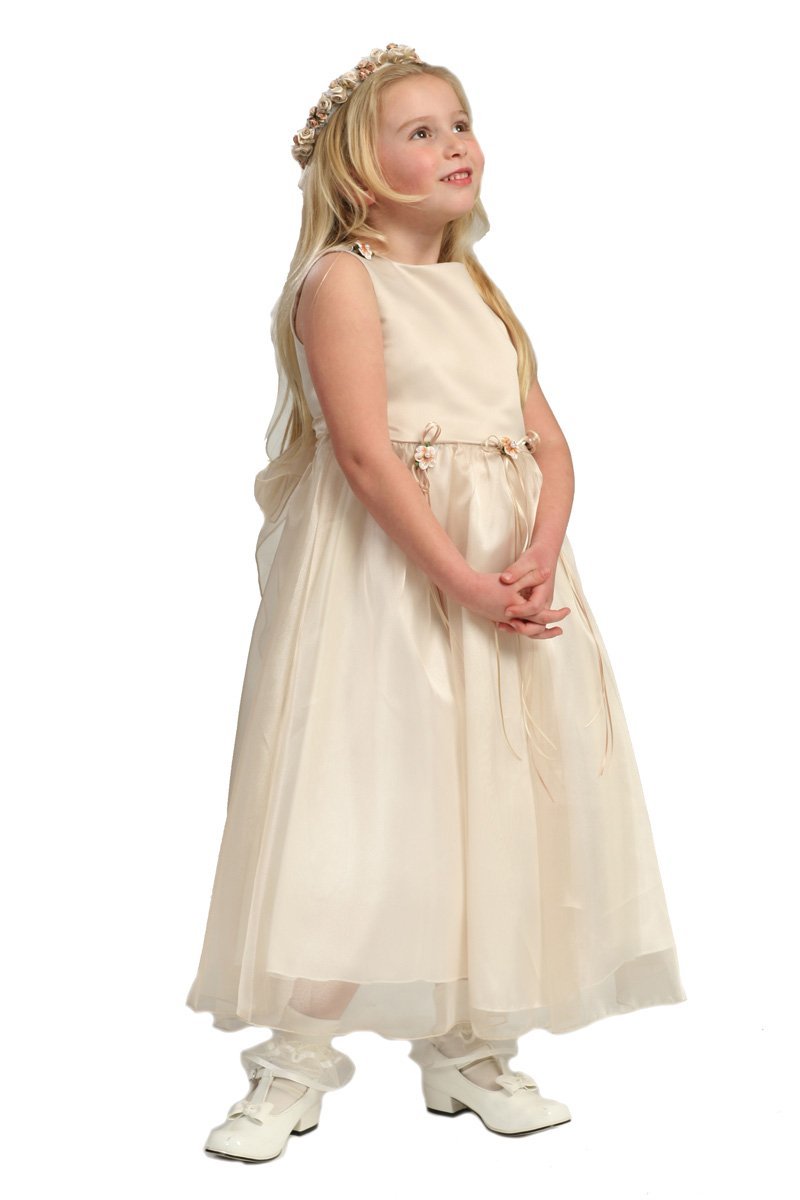 Champagne Organza Skirt Flower Girl Dress Champagne Organza Skirt Flower Girl Dress