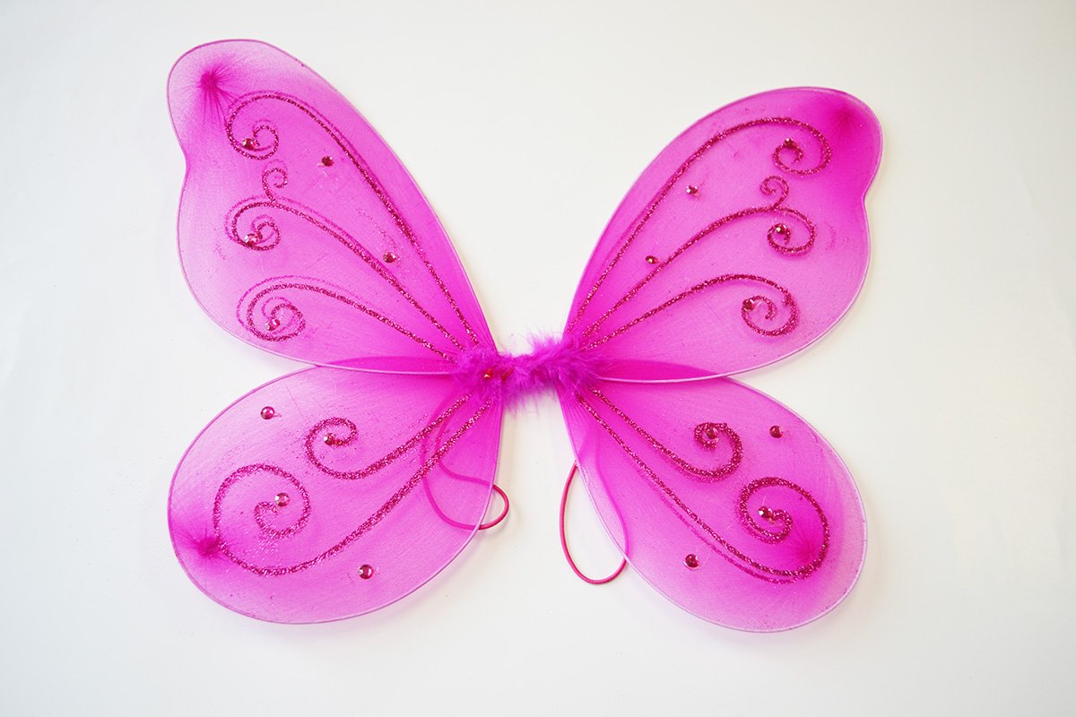 Fuchsia Little Fairy Wing Fuchsia Little Fairy Wing