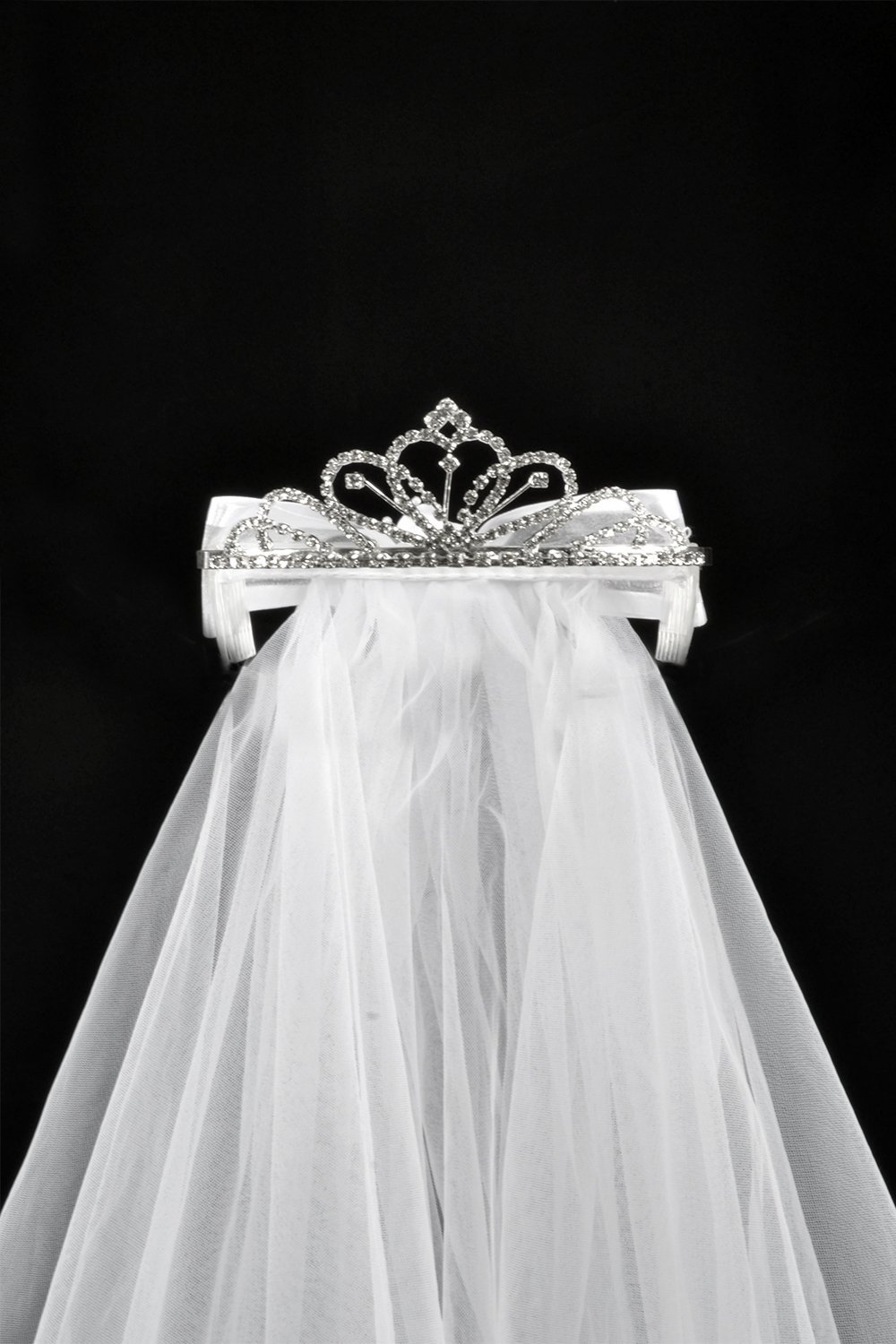 Lovely Rhinestone Tiara with Embroidered Edge Veil Lovely Rhinestone Tiara with Embroidered Edge Veil