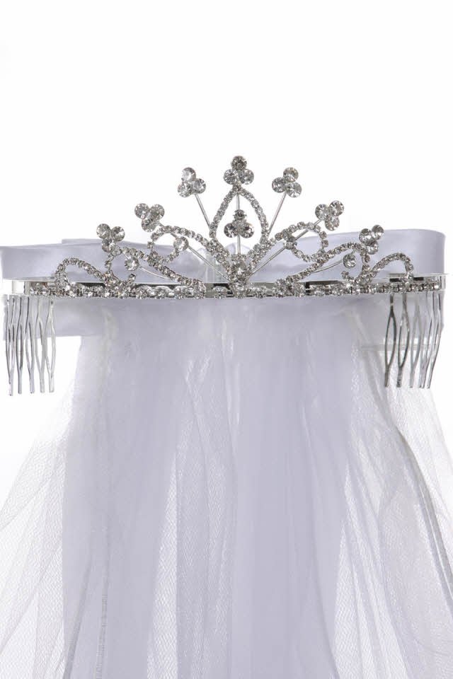 Beautiful Rhinestone Communion Veil Beautiful Rhinestone Communion Veil